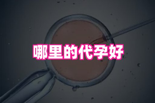 福建助孕网 2